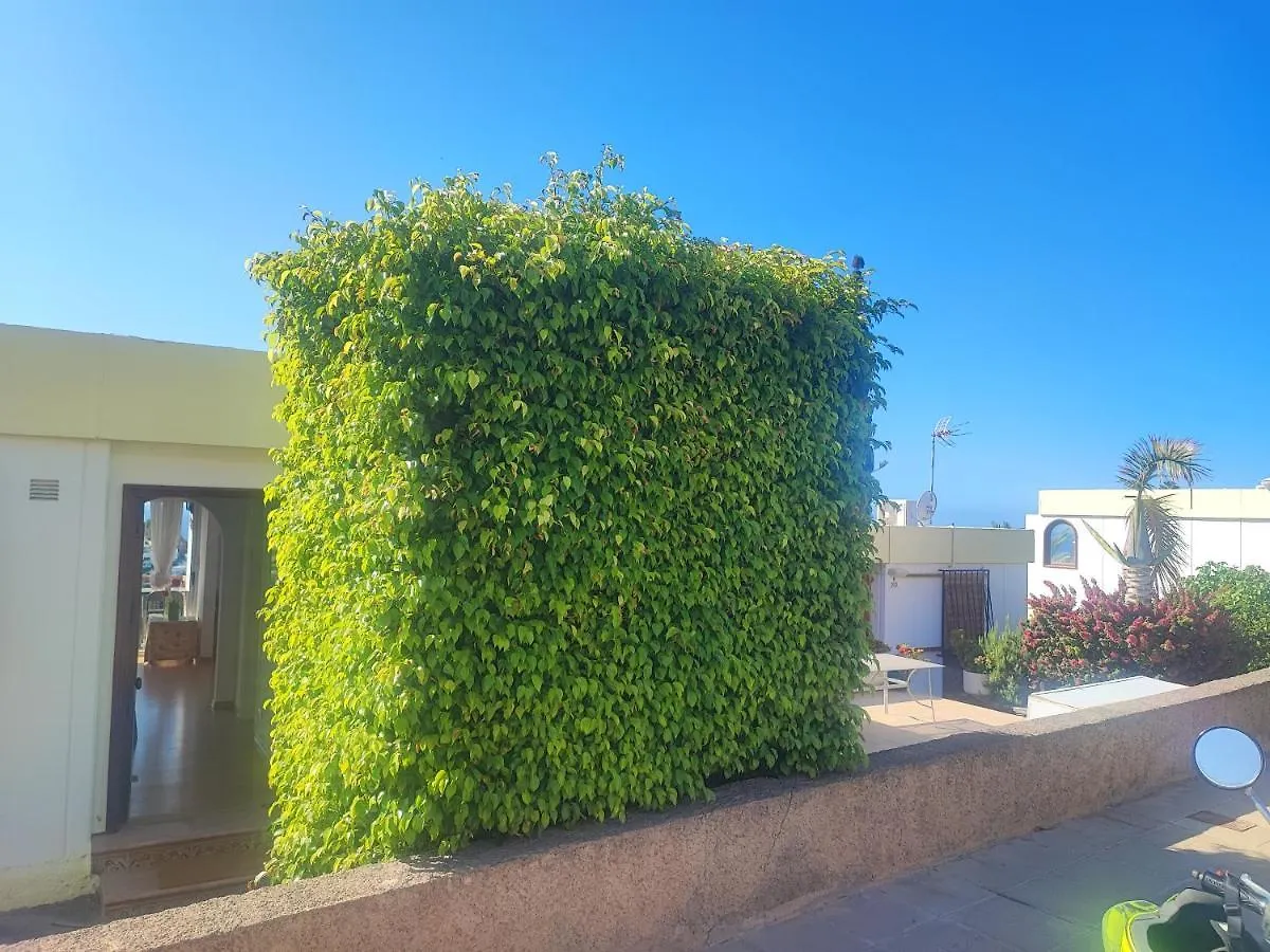 Casa Panorama 314 San Agustin Maspalomas Apartment San Agustin (Gran Canaria)